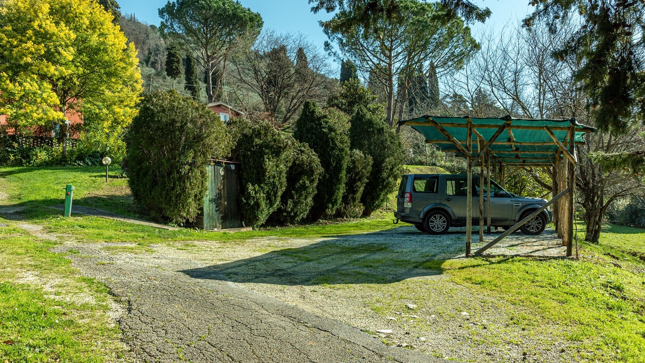 Photo of Outdoor in Camaiore