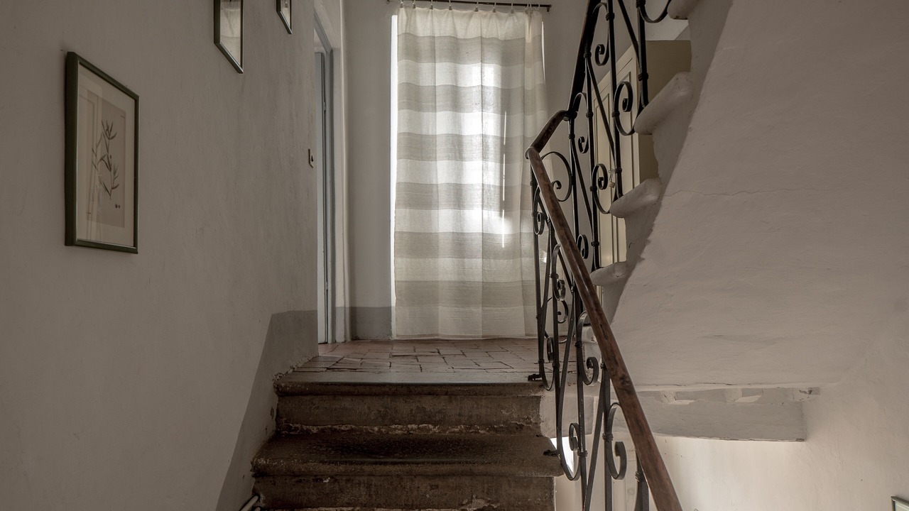 Photo of Others in Camaiore
