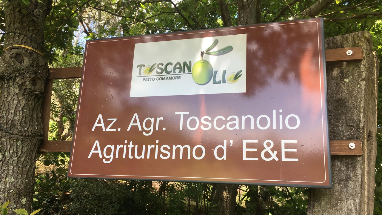 Photo of Outdoor in Vicopisano