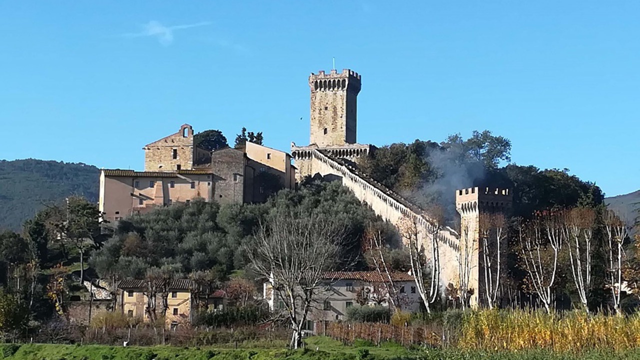 Photo of Others in Vicopisano