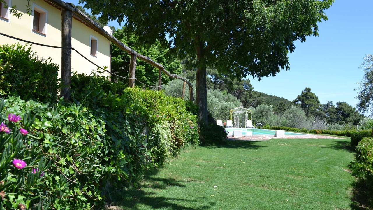Photo of Outdoor in Vicopisano
