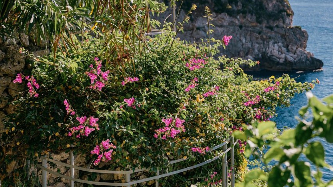 Photo of Outdoor in Conca dei Marini