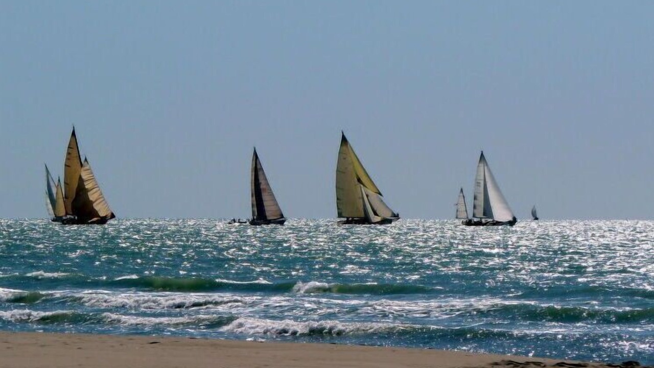 Photo of Others in Forte dei Marmi