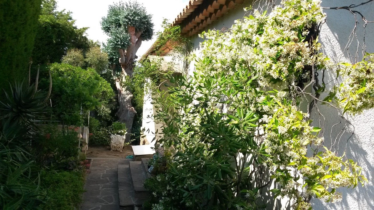 Photo of Outdoor in Espero-Pax