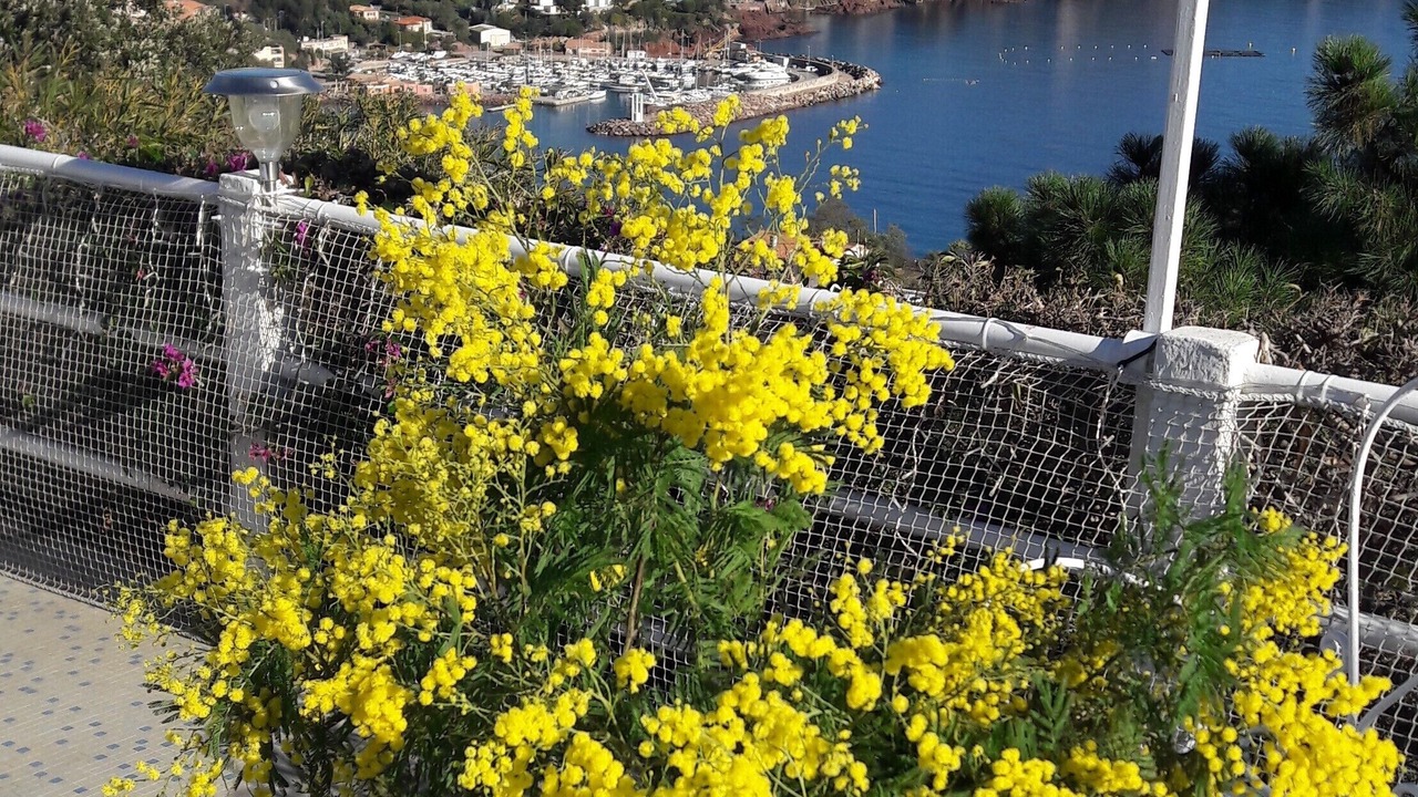 Photo of Outdoor in Espero-Pax