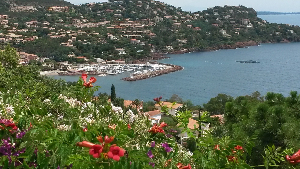 Photo of Outdoor in Espero-Pax