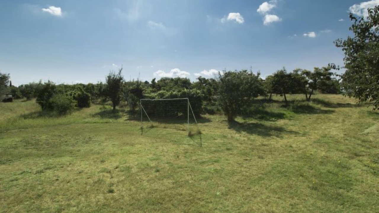 Photo of Outdoor in Bibbona