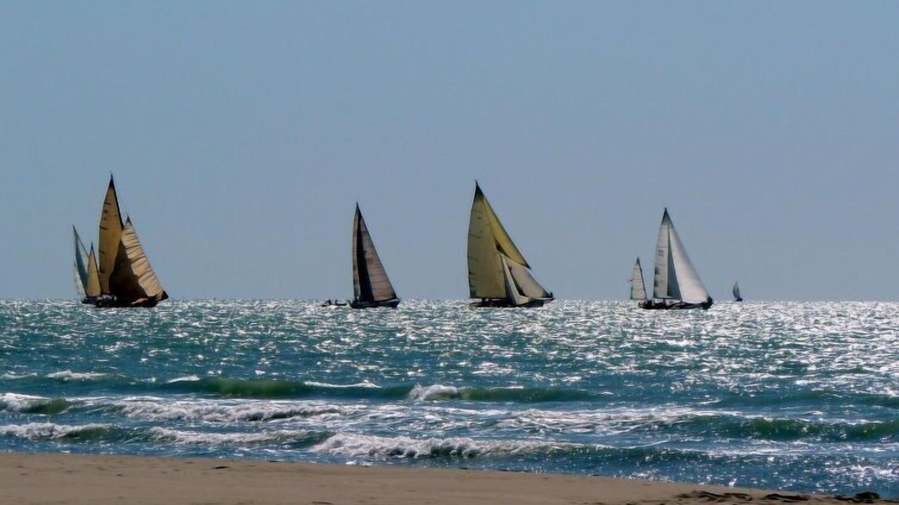 Photo of Others in Forte dei Marmi