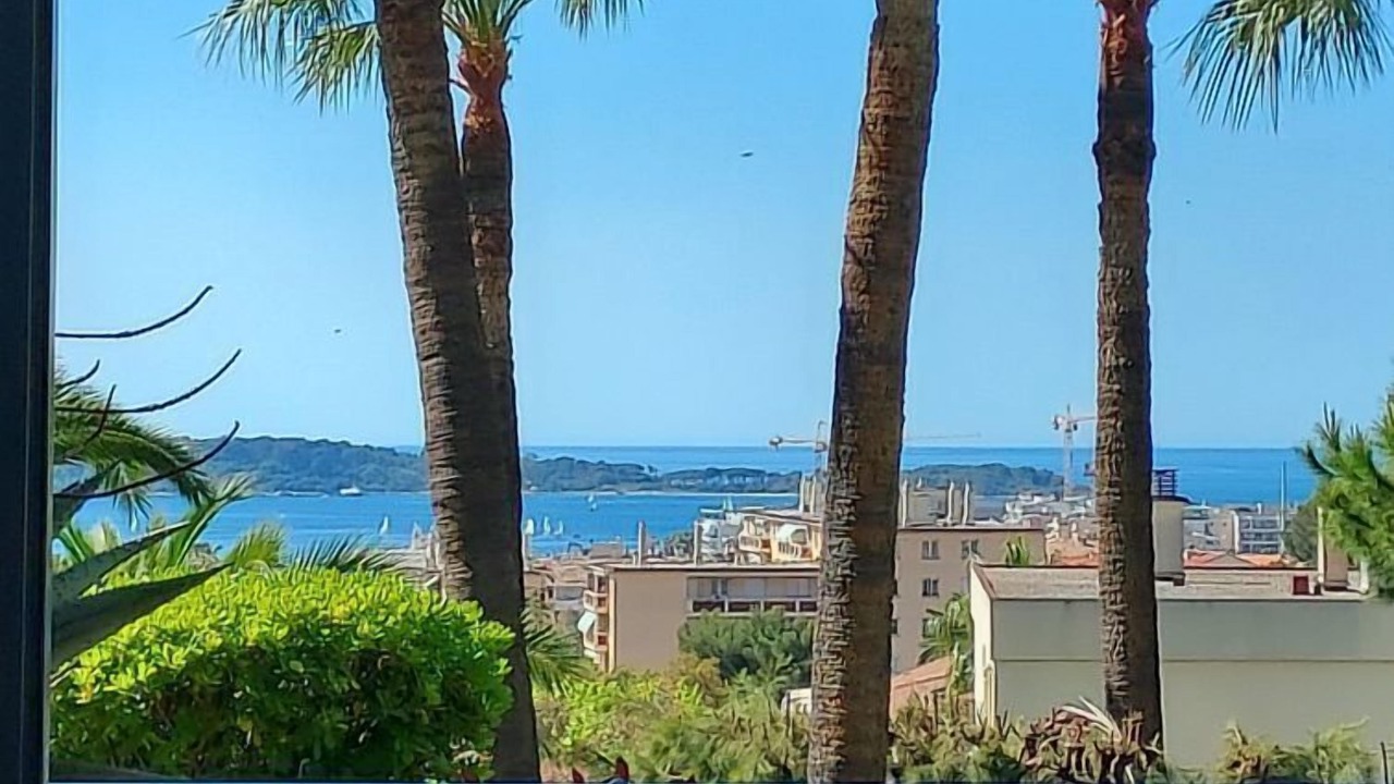 Photo of Others in Cannes