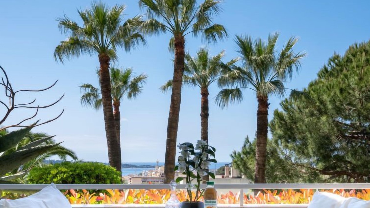 Photo of Others in Cannes