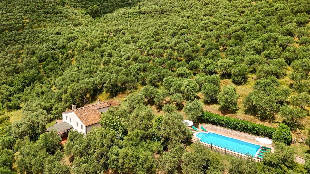 Photo of Outdoor in Calci