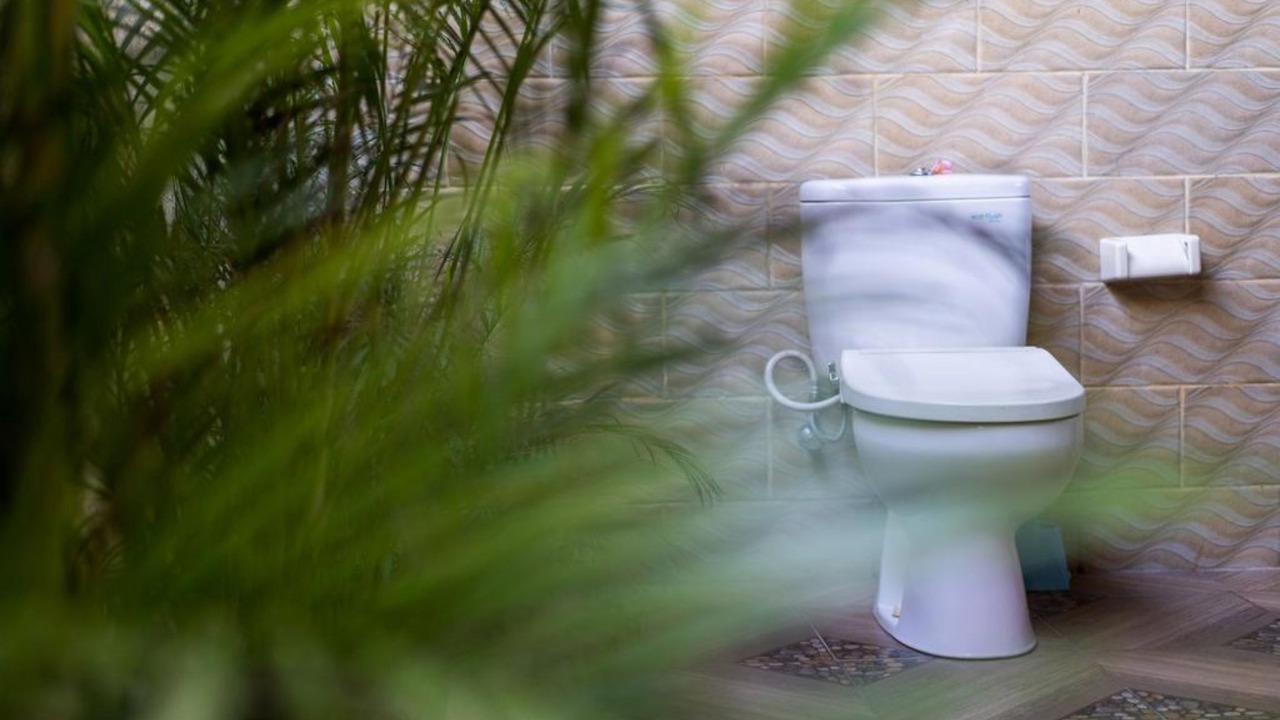 Photo of Bathroom in Mushroom Bay