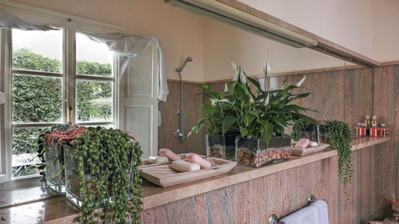 Photo of Bathroom in Viareggio