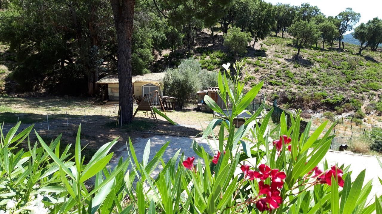 Photo of Others in Sainte-Maxime