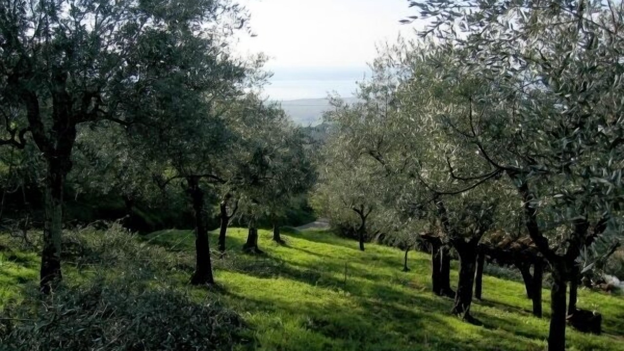 Photo of Outdoor in Corsanico-Bargecchia