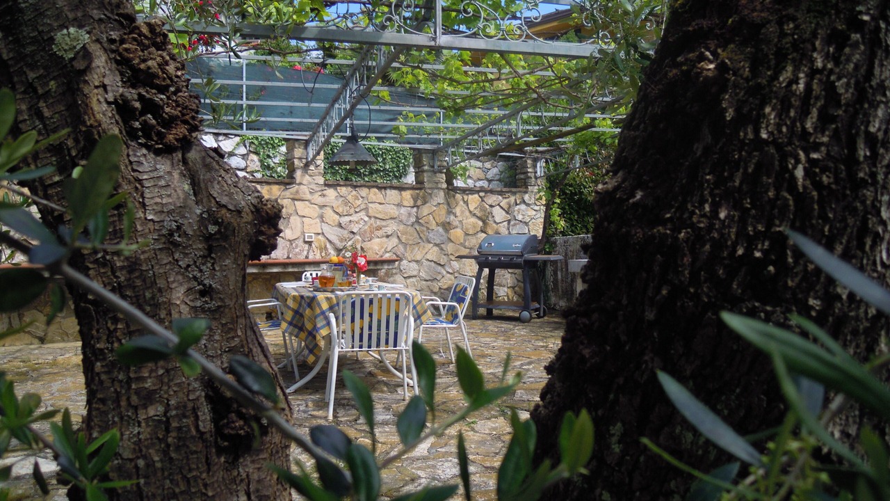 Photo of Outdoor in Corsanico-Bargecchia