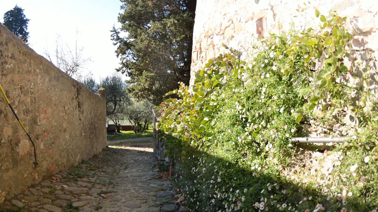 Photo of Outdoor in San Gennaro