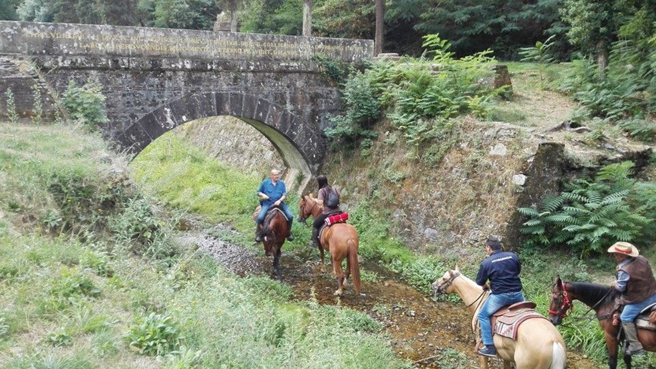 Photo of Outdoor in Capannori