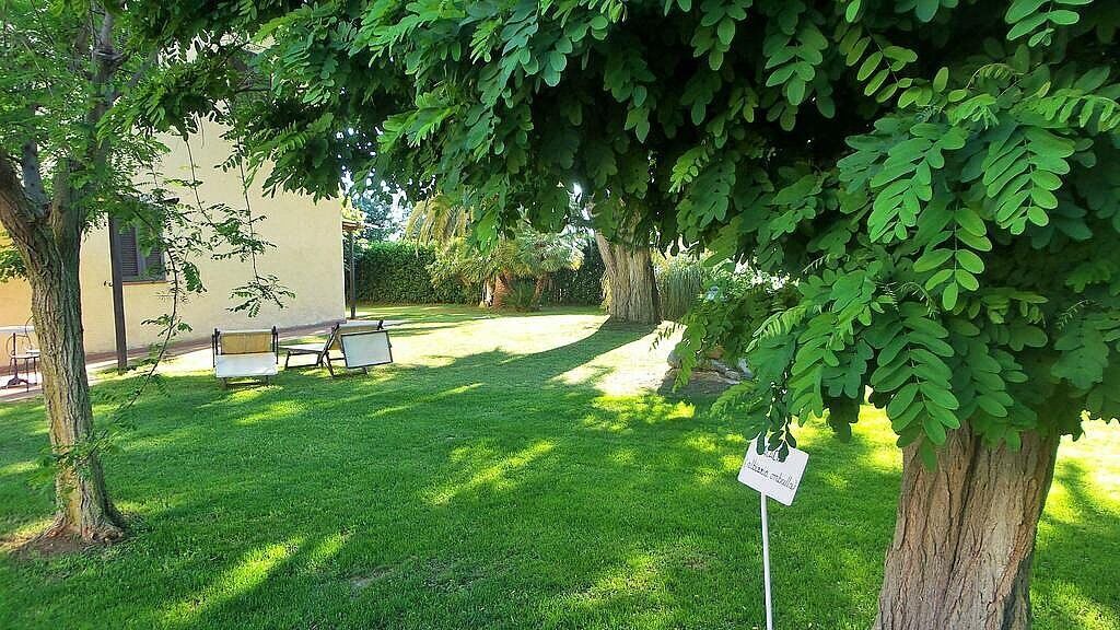 Photo of Outdoor in Marina di Castagneto Carducci