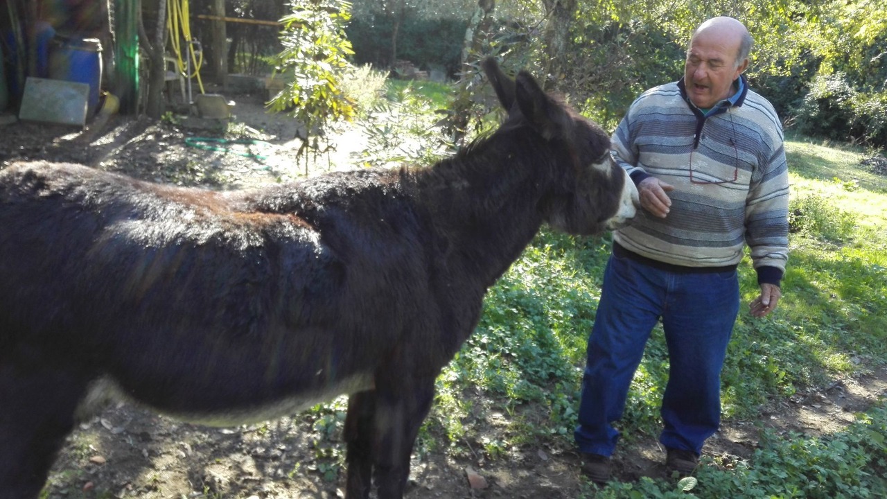 Photo of Outdoor in Pieve a Nievole