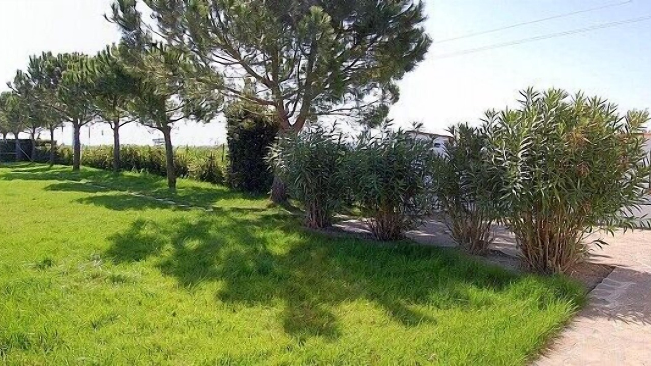 Photo of Outdoor in Grosseto