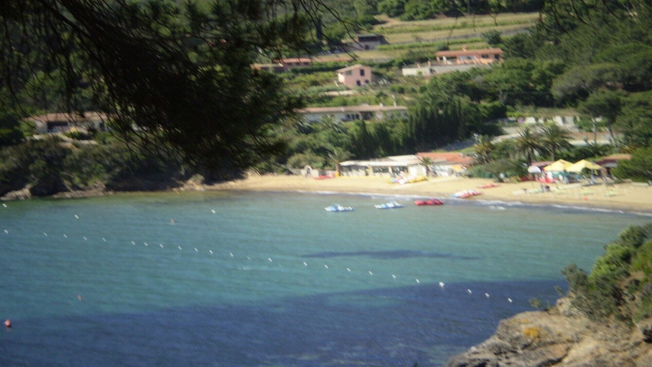 Photo of Others in Capoliveri