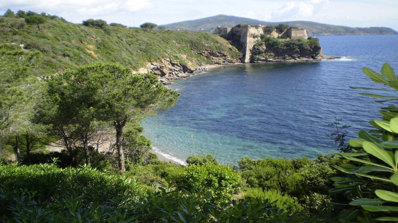 Photo of Others in Capoliveri