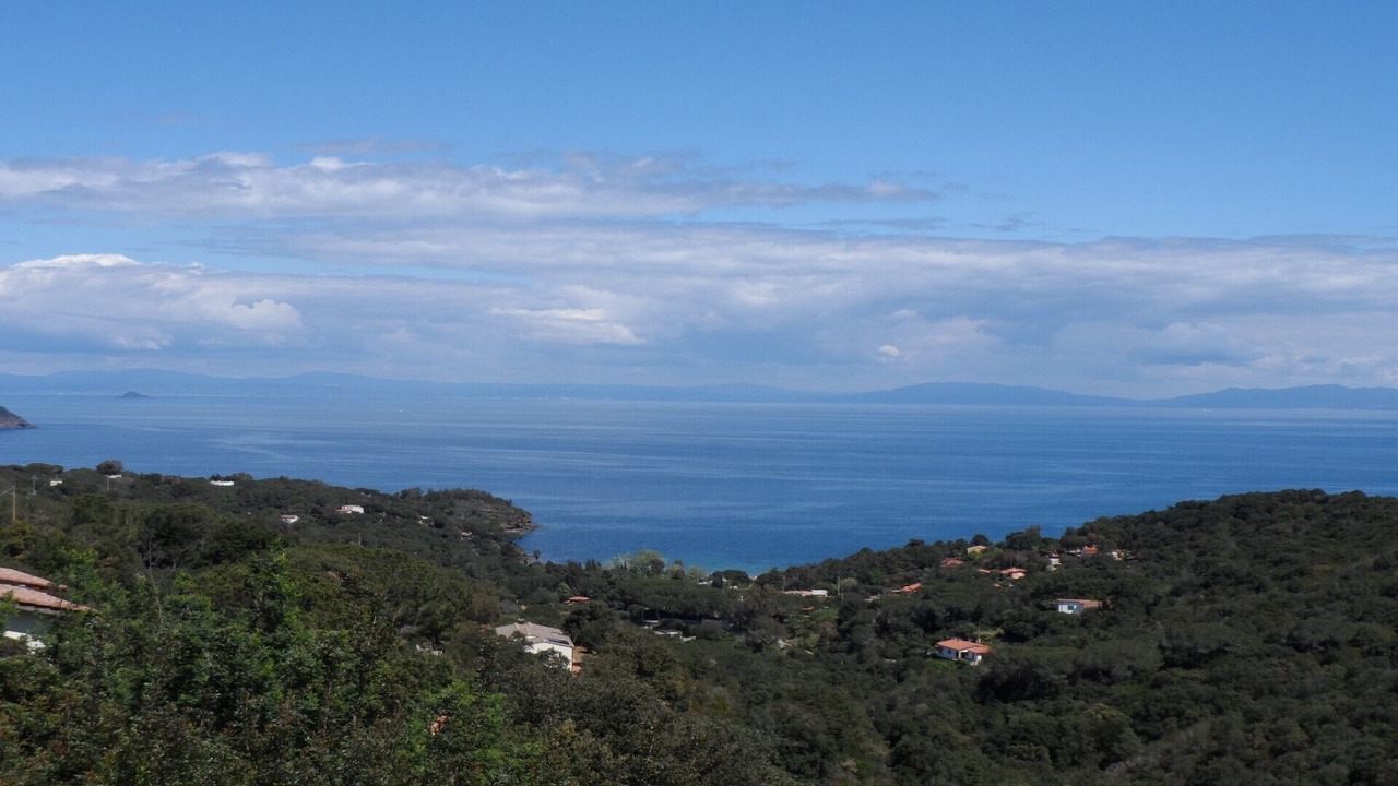 Photo of Others in Capoliveri