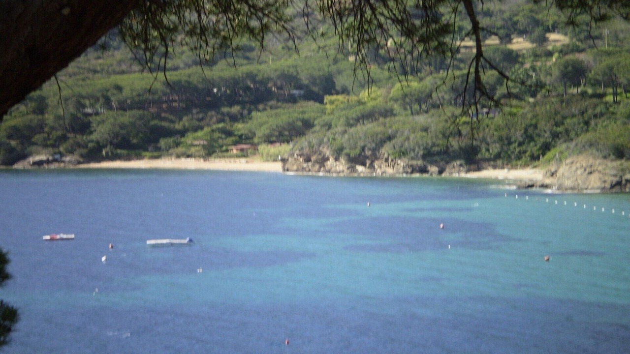 Photo of Others in Capoliveri