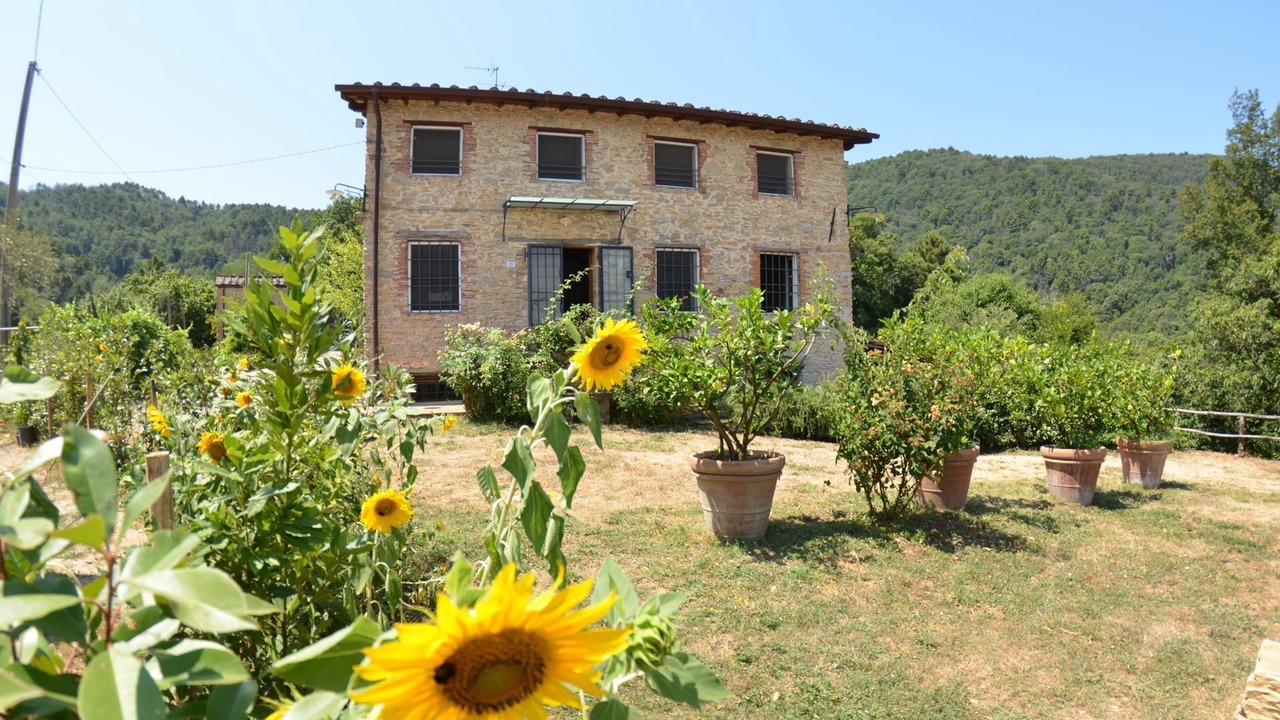 Photo of Outdoor in Vicopelago