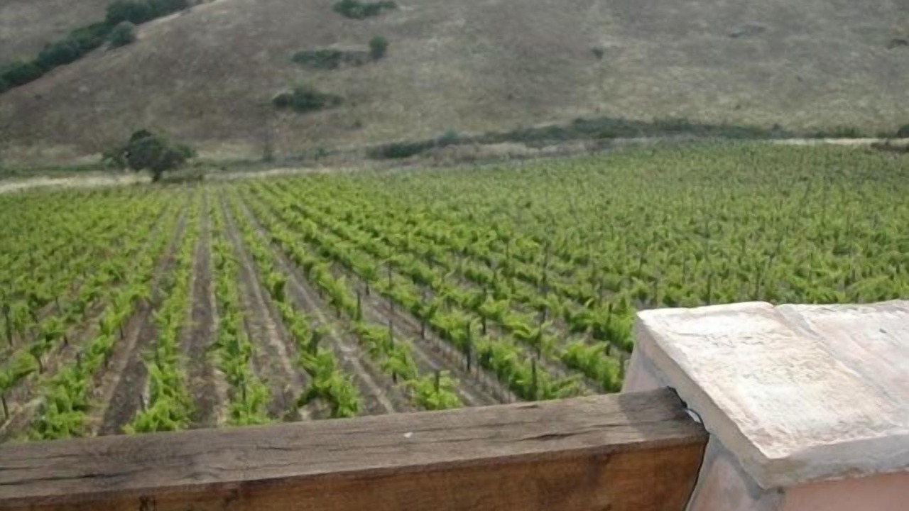 Photo of Outdoor in Grosseto