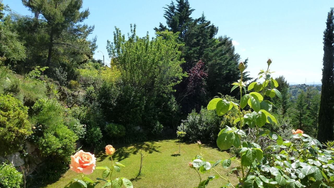 Photo of Outdoor in Saint-Roman