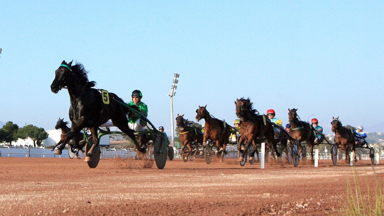 Photo of Others in Cros-de-Cagnes