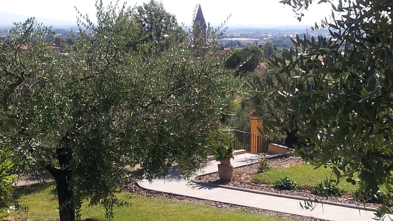 Photo of Outdoor in Collodi