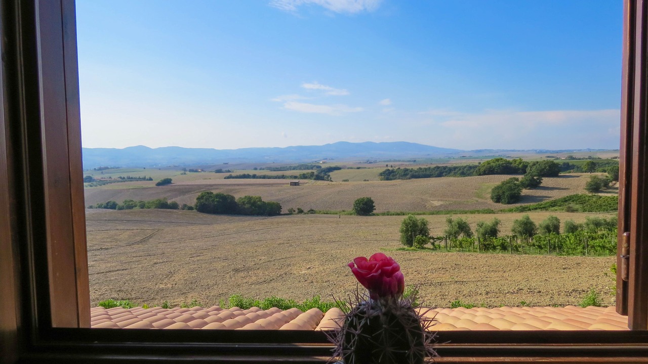 Photo of Others in Pomaia