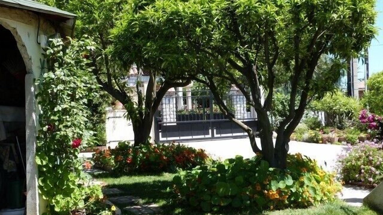 Photo of Outdoor in Cagnes-sur-Mer