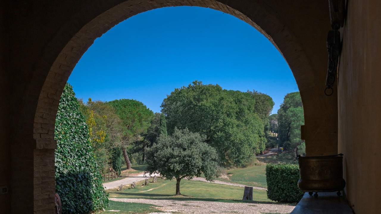 Photo of Others in Buonconvento