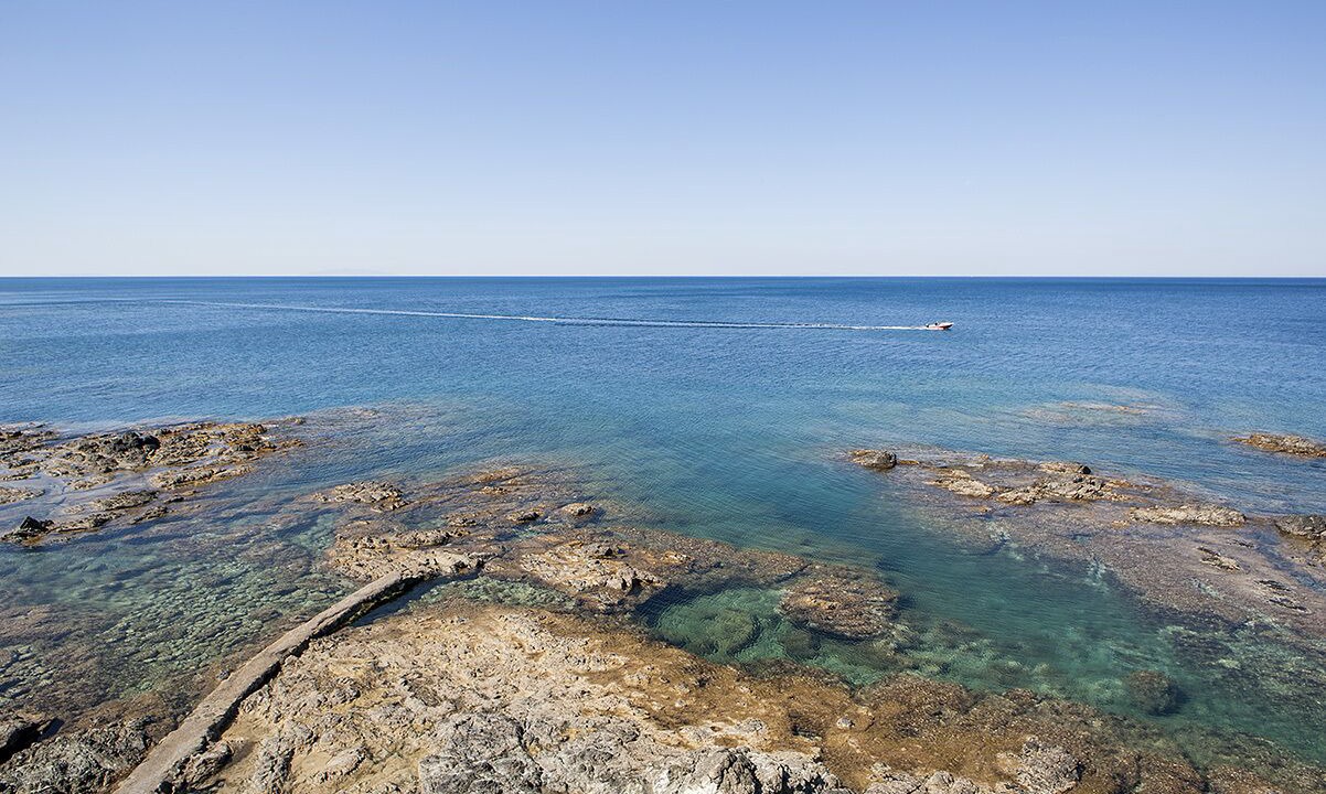 Photo of Others in Castiglioncello