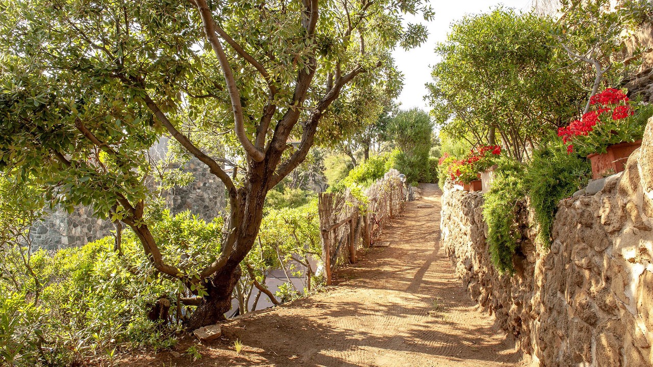 Photo of Outdoor in Castiglioncello