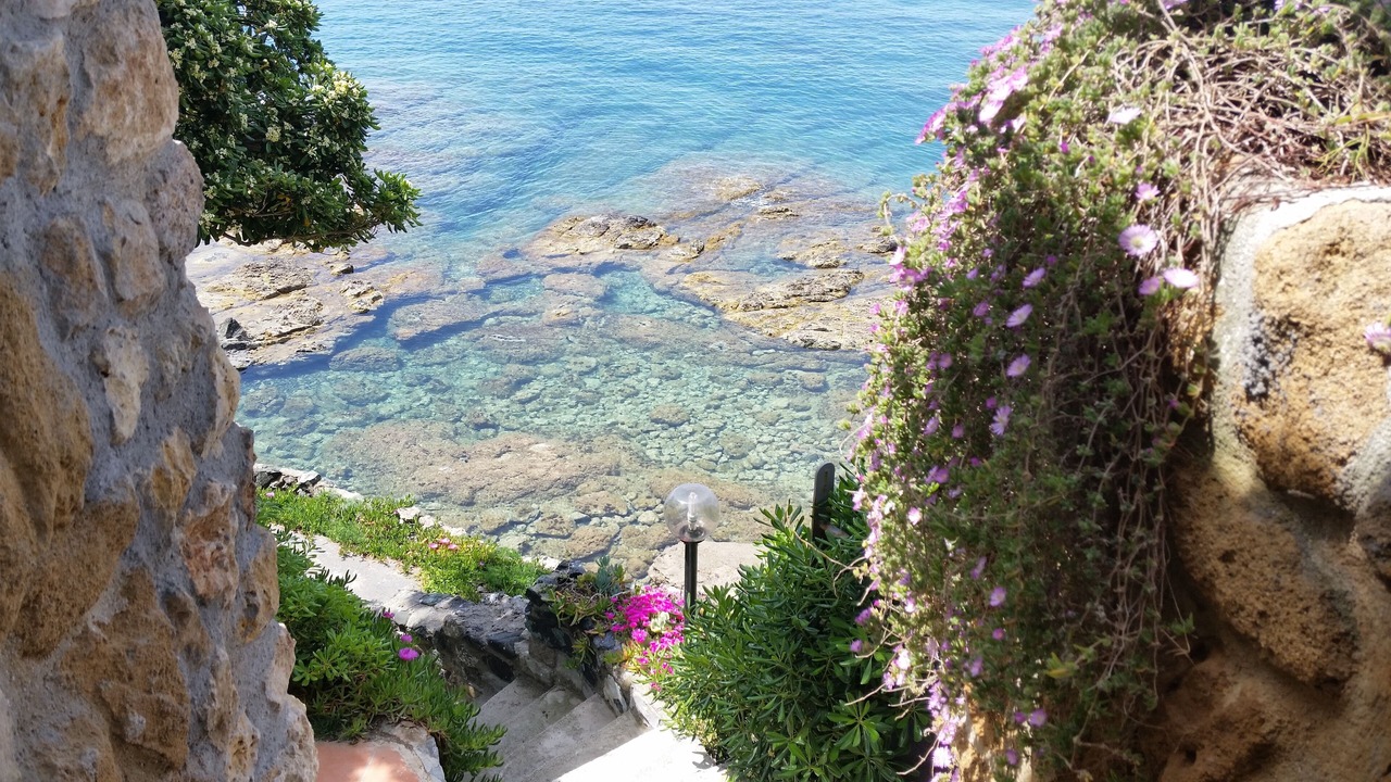 Photo of Others in Castiglioncello