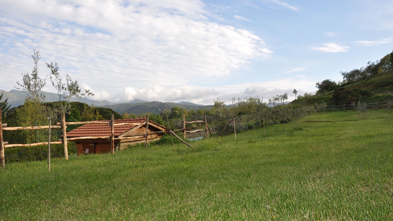 Photo of Outdoor in Gassano