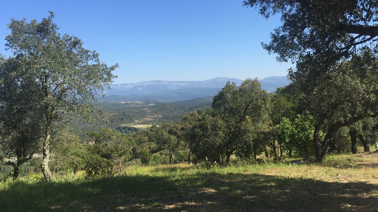 Photo of Outdoor in Les Adrets-de-l'Esterel