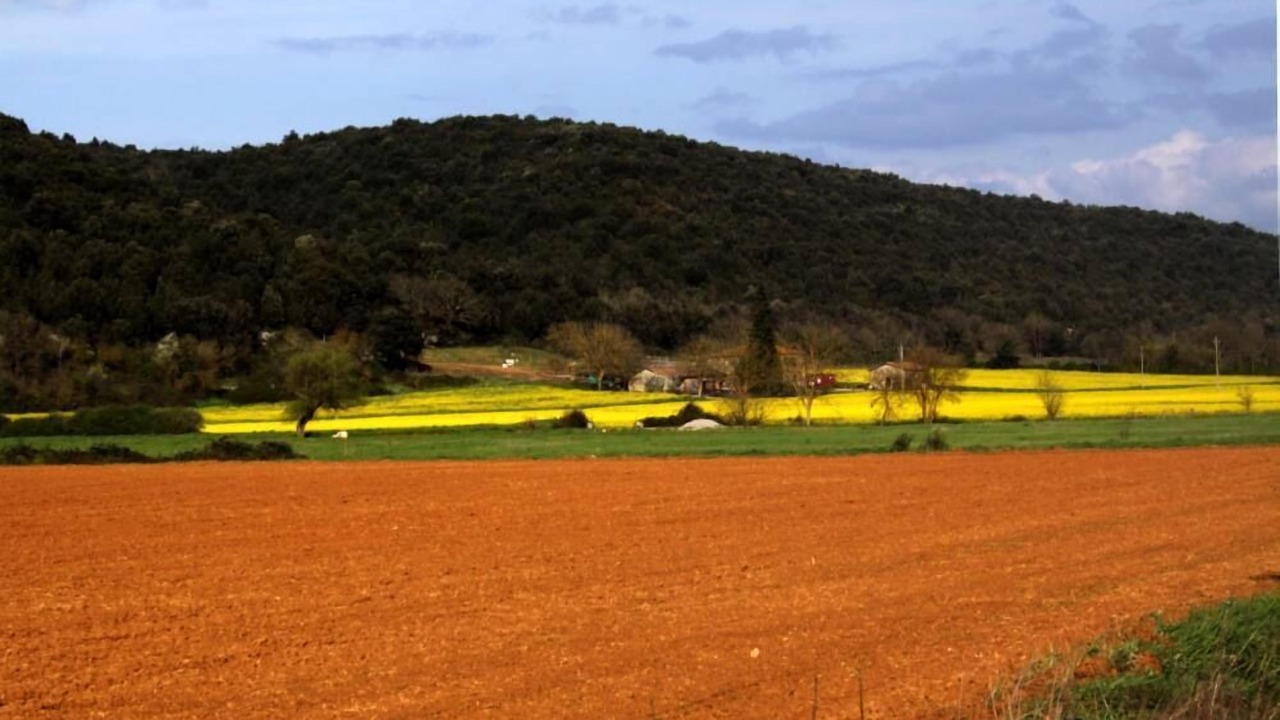 Photo of Others in Sovicille