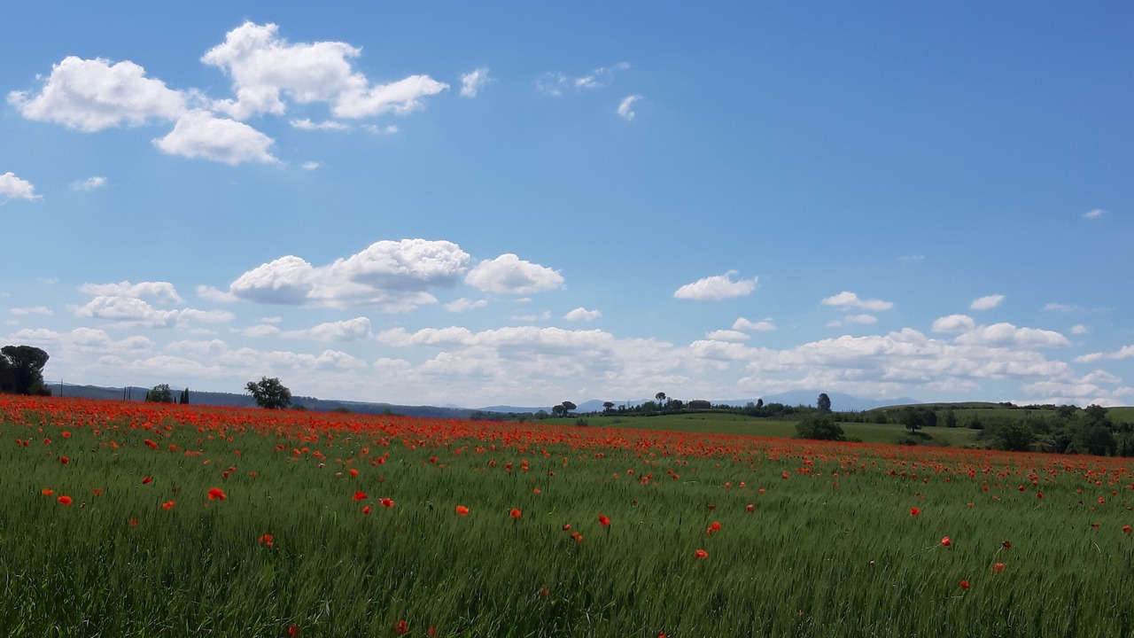 Photo of Outdoor in Murlo