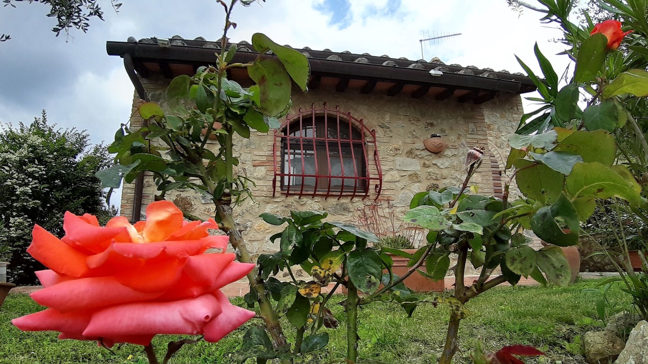 Photo of Outdoor in Murlo