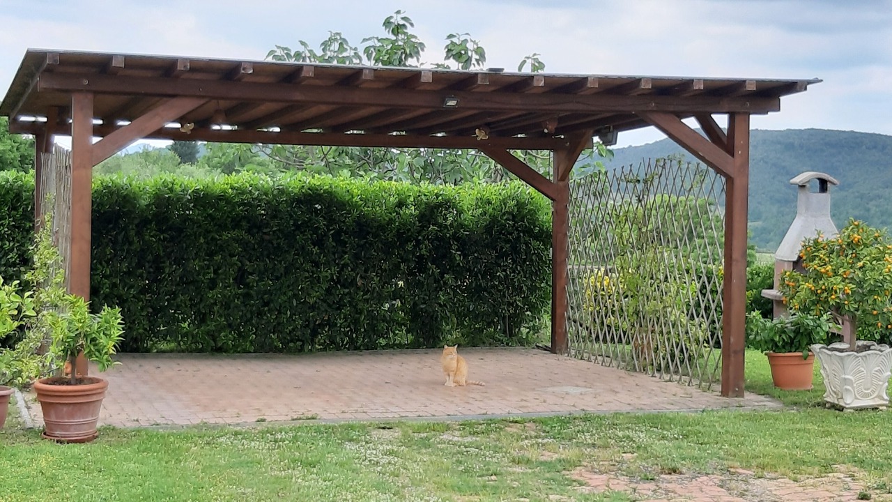 Photo of Outdoor in Murlo