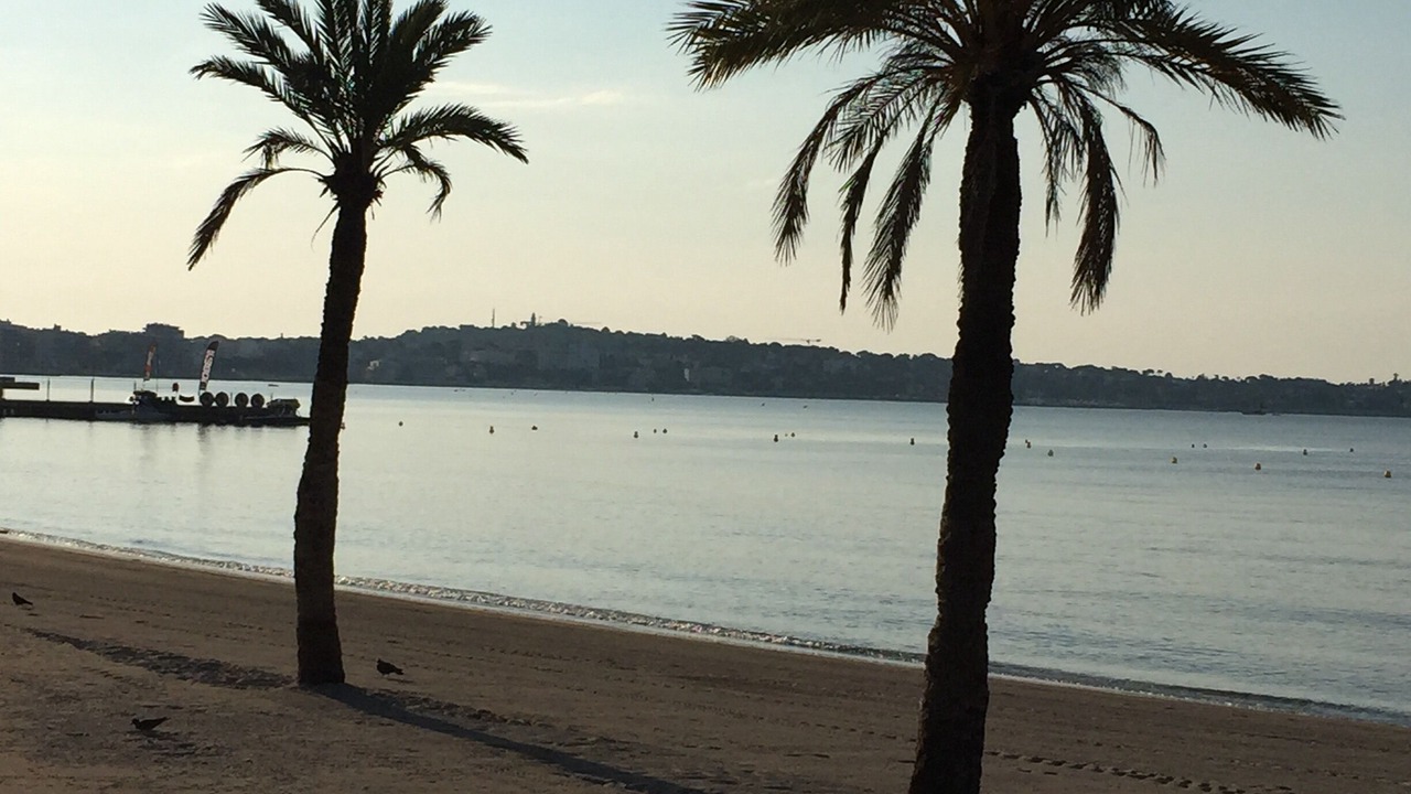 Photo of Others in Vallauris
