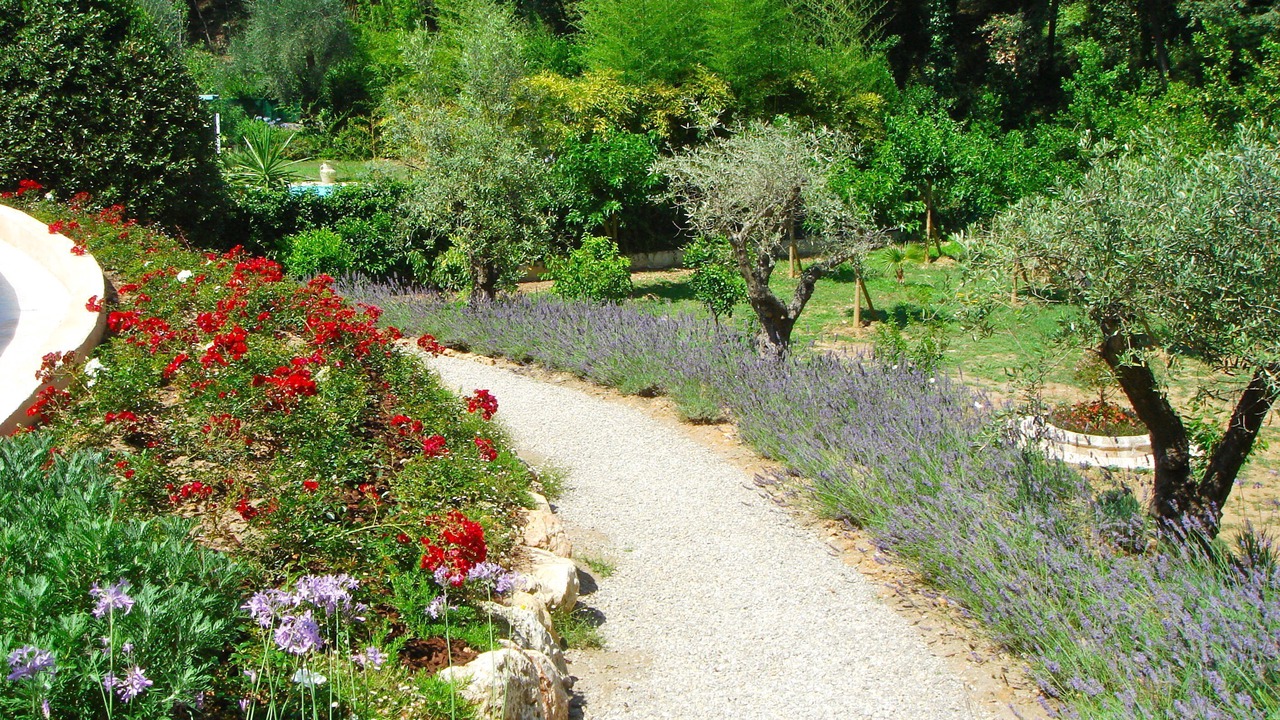 Photo of Outdoor in Vallauris