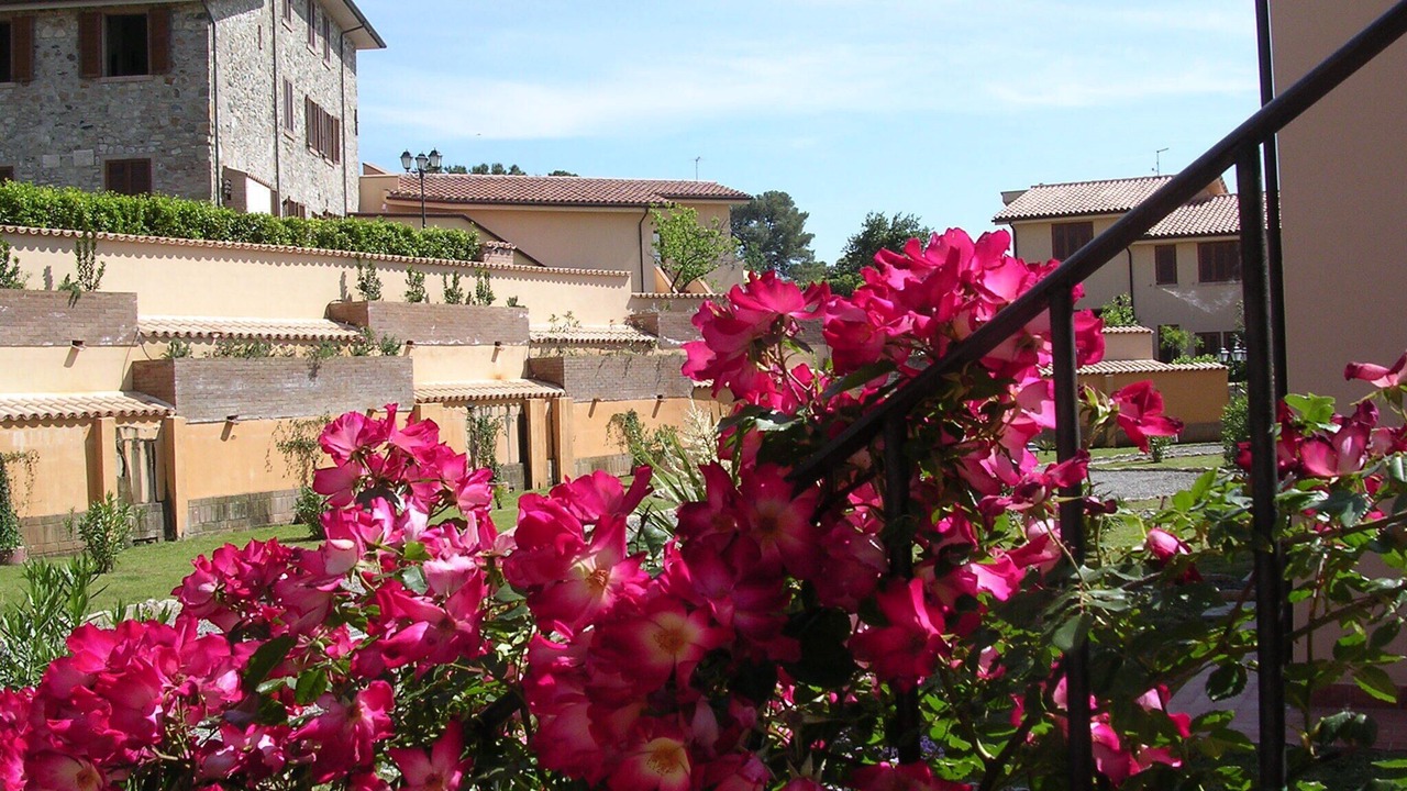 Photo of Outdoor in Pomaia