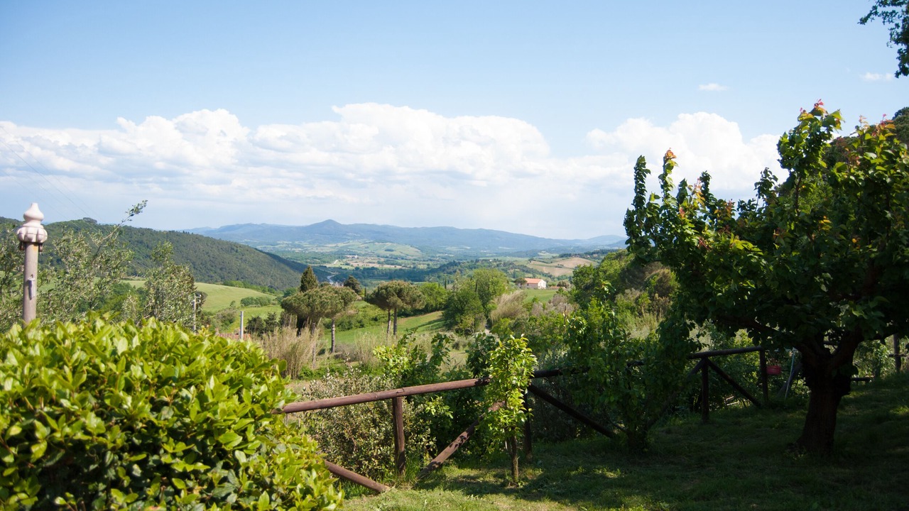 Photo of Outdoor in Riparbella